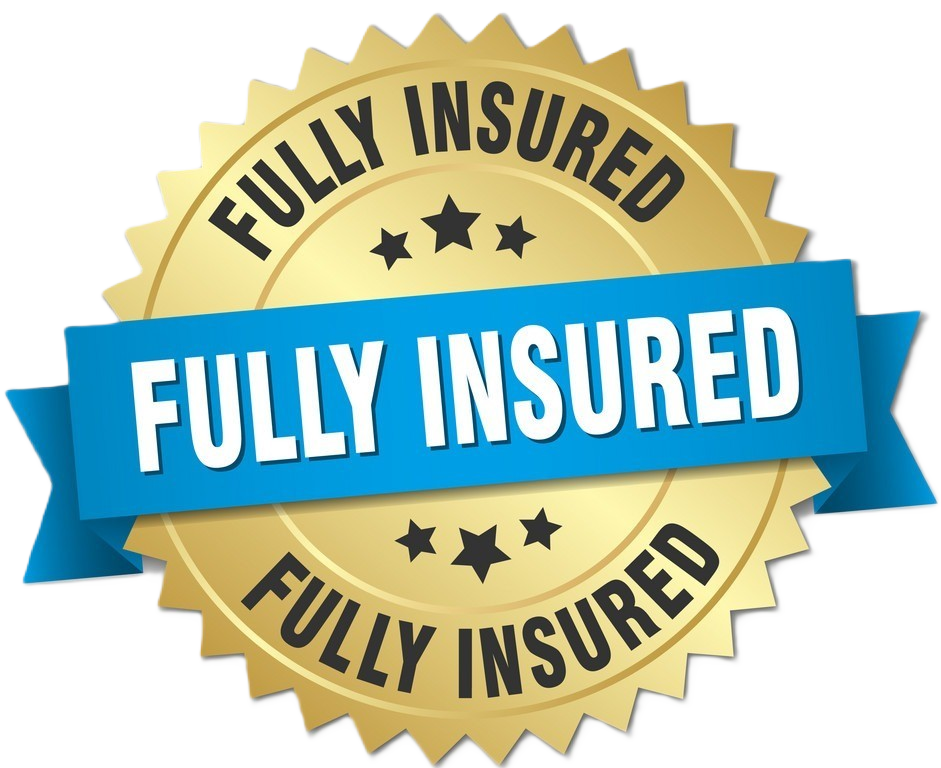 fully Insured